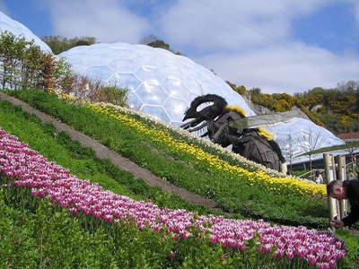 eden project in cornwall				